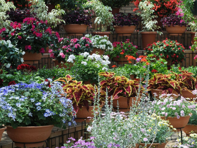 Cleveland Botanical Garden